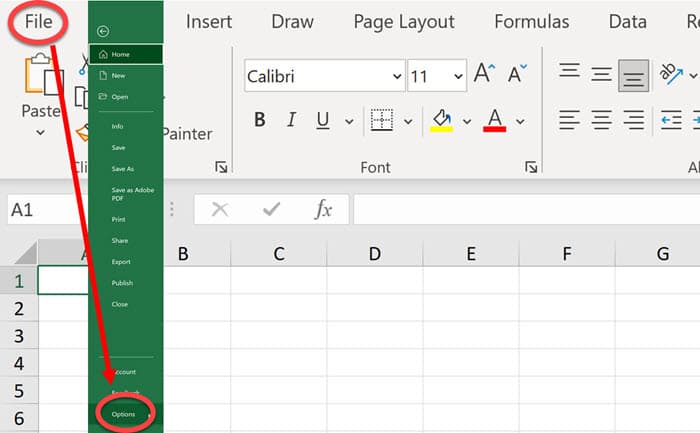 How to find Excel Options Access the File pull-down menu.